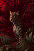leopard-in-a-forest-print