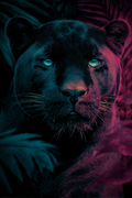 purple-panther-print