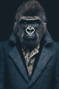 urban-silverback-print